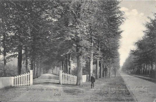 Driebergseweg0005, Driebergschew straatweg. 1910.jpg - De Driebergsche straatweg heette in 1677 “De Seijsterwegh”. En in 1907 schreef men, dat de automobielen die op deze weg gebruik maken – ten hoogste vier of vijf per dag de rust verstoorde. Links de oprijlaan naar Buiten plaats Molenbosch. Gezicht richting Driebergen. Opname van 1910.